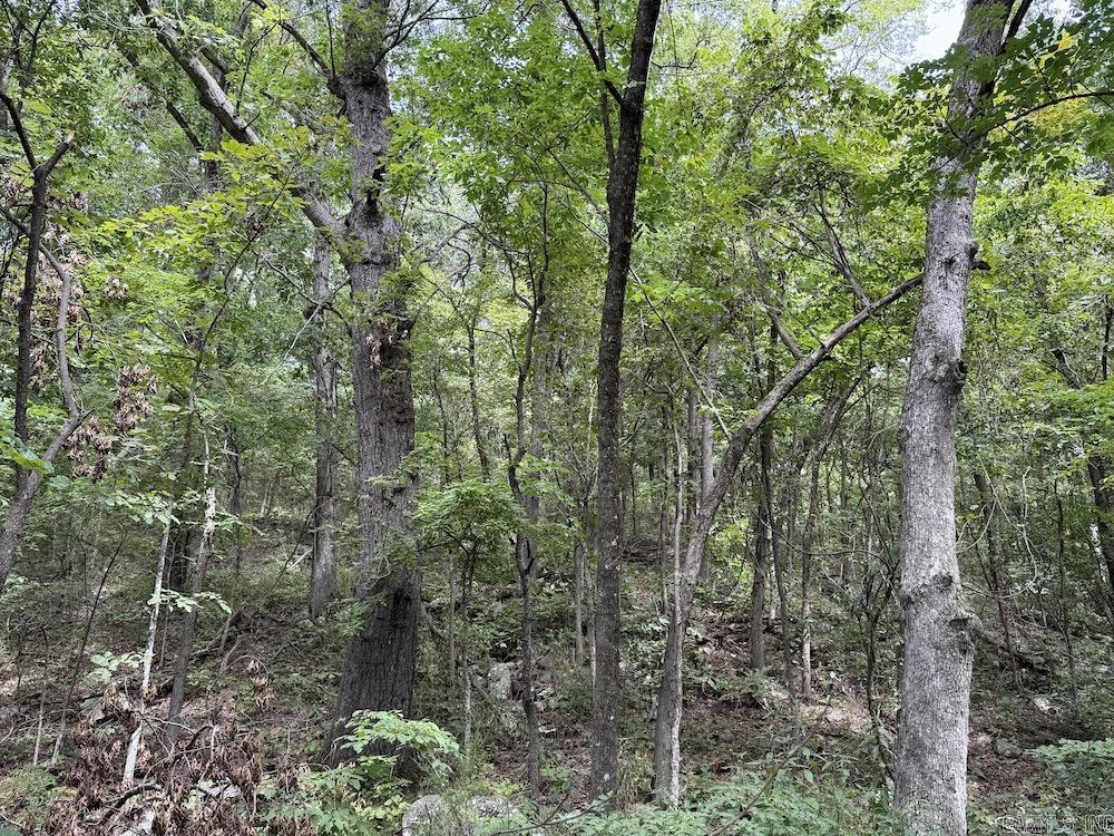 Tract 7 Terrapin Rd  Harrison, AR