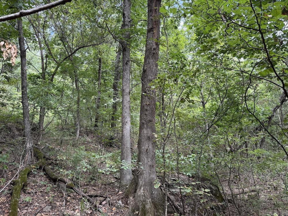 Tract 7 Terrapin Rd  Harrison, AR