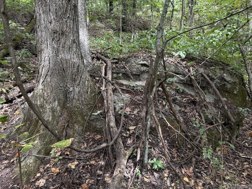Tract 7 Terrapin Rd  Harrison, AR
