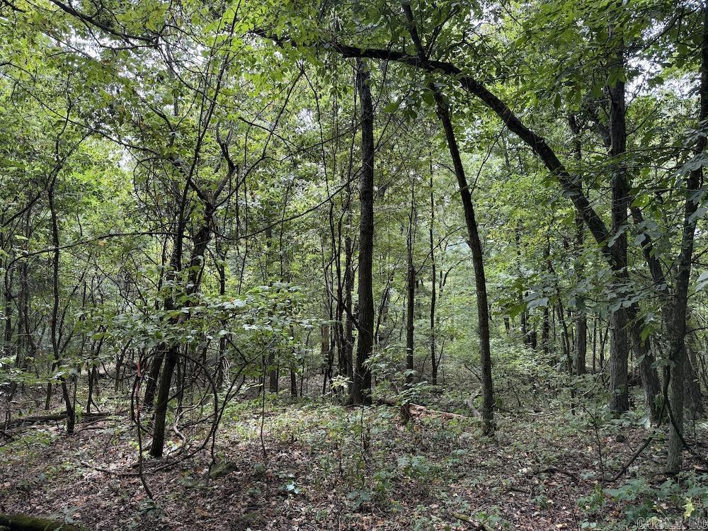 Tract 7 Terrapin Rd  Harrison, AR