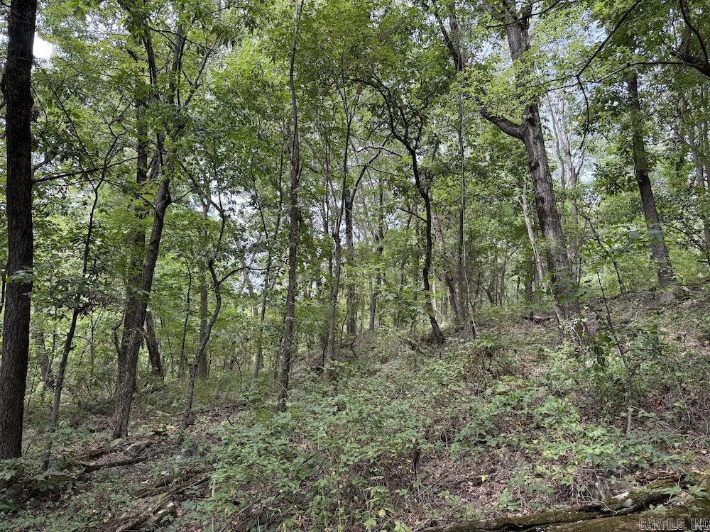 Tract 7 Terrapin Rd  Harrison, AR