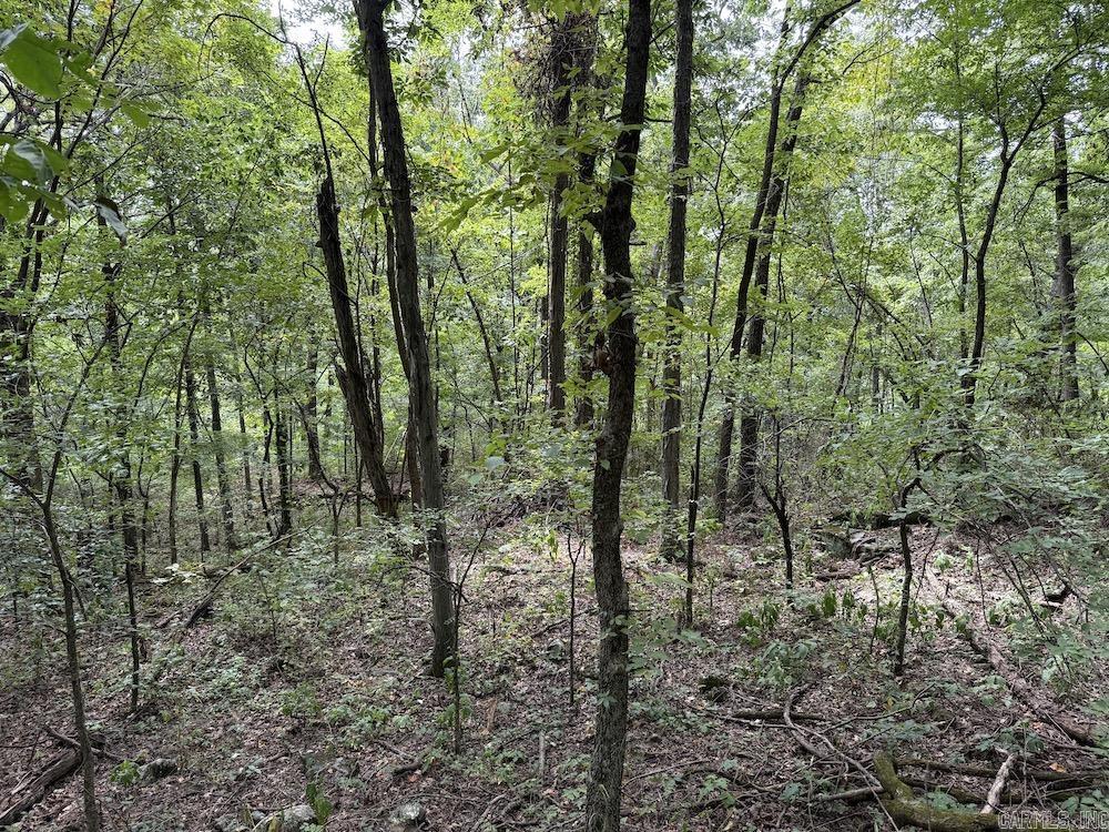Tract 7 Terrapin Rd  Harrison, AR
