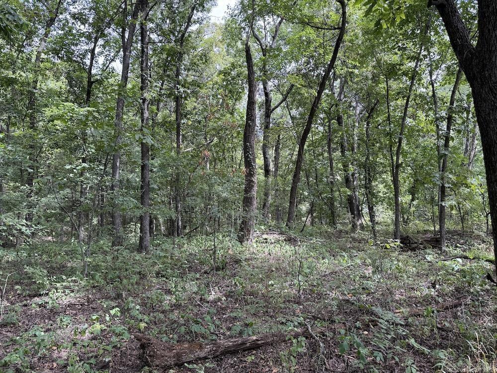 Tract 7 Terrapin Rd  Harrison, AR