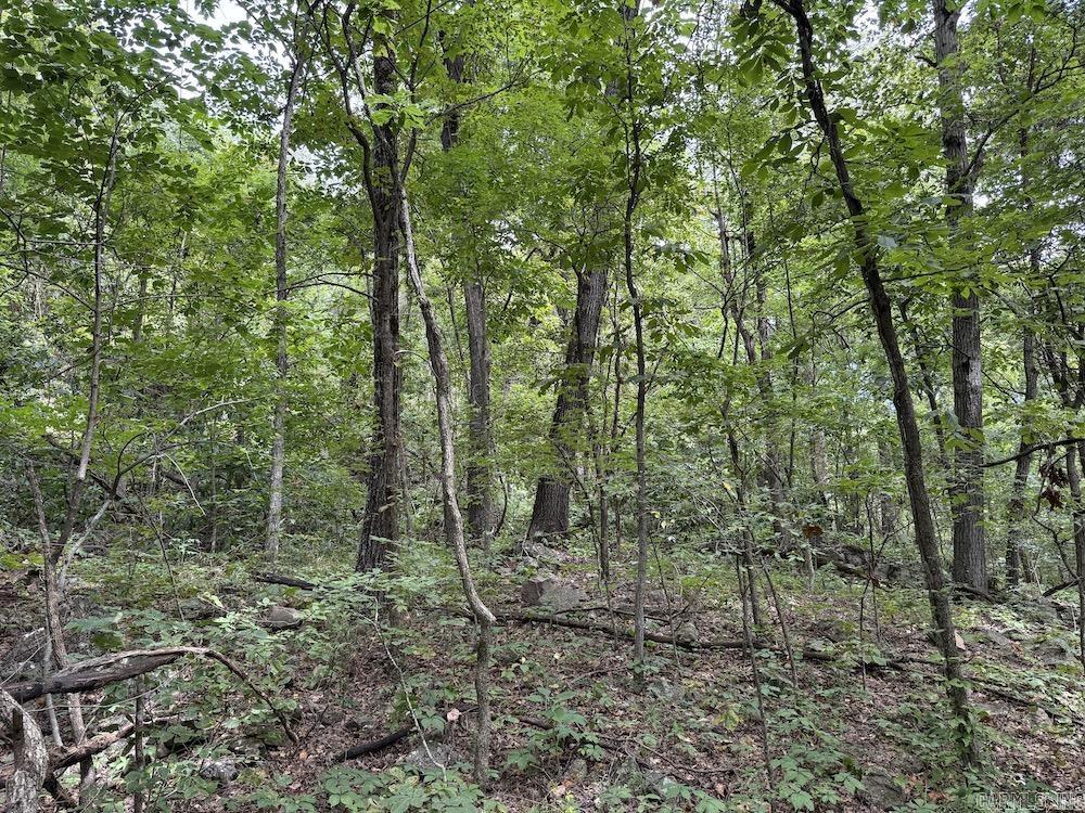 Tract 7 Terrapin Rd  Harrison, AR