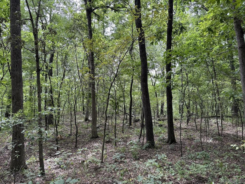 Tract 7 Terrapin Rd  Harrison, AR