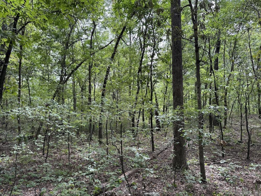 Tract 7 Terrapin Rd  Harrison, AR