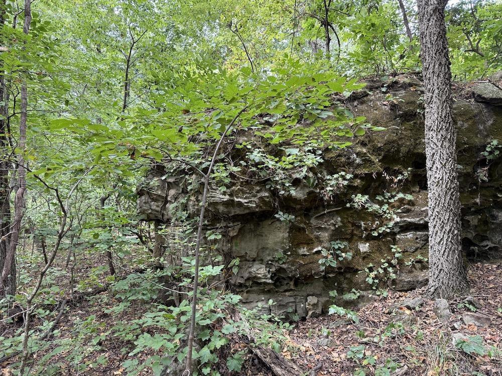 Tract 7 Terrapin Rd  Harrison, AR