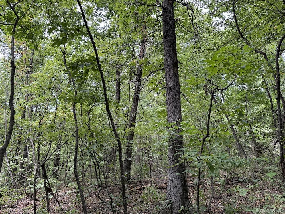 Tract 7 Terrapin Rd  Harrison, AR