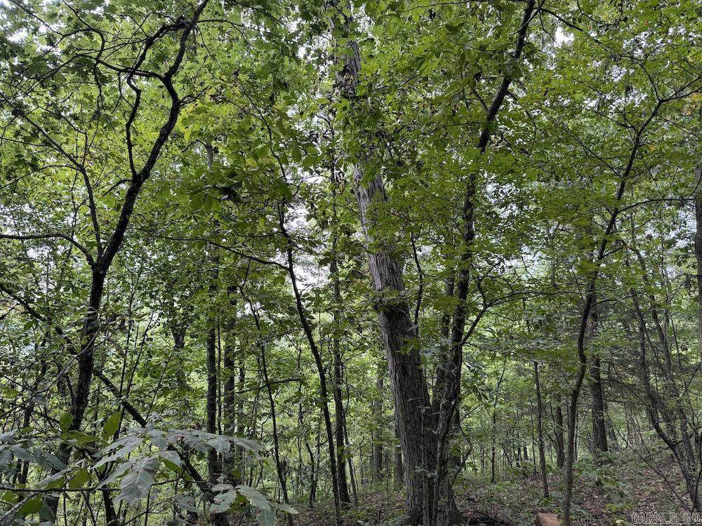Tract 7 Terrapin Rd  Harrison, AR