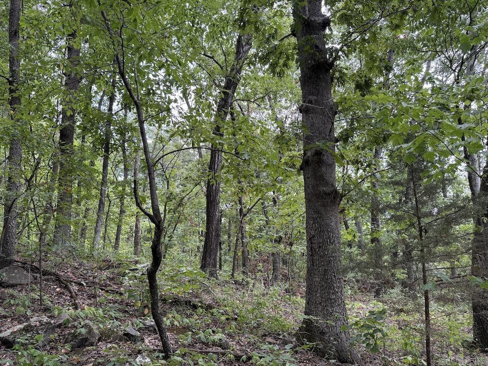 Tract 7 Terrapin Rd  Harrison, AR