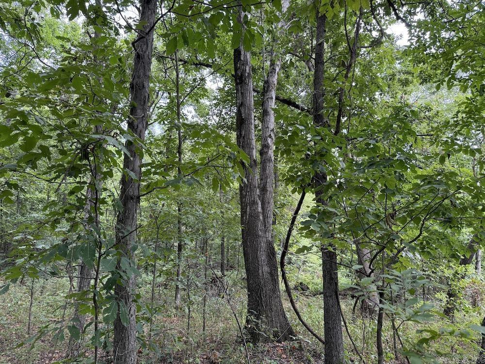 Tract 7 Terrapin Rd  Harrison, AR