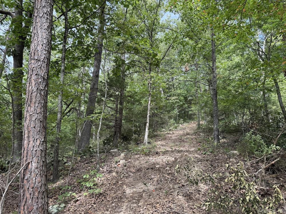 Tract 7 Terrapin Rd  Harrison, AR