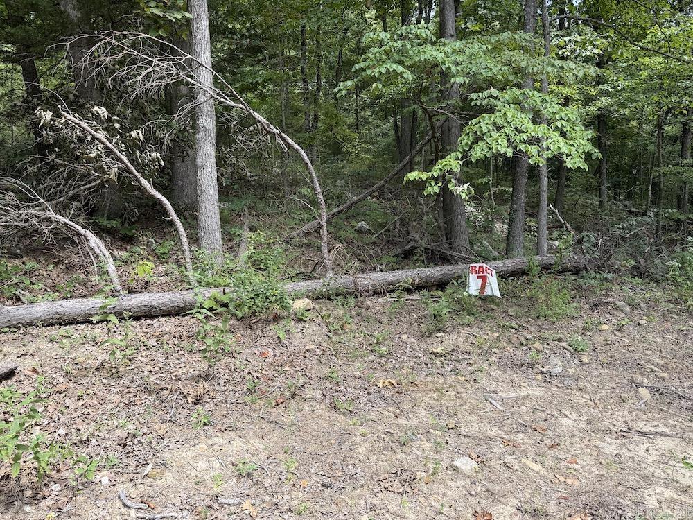 Tract 7 Terrapin Rd  Harrison, AR