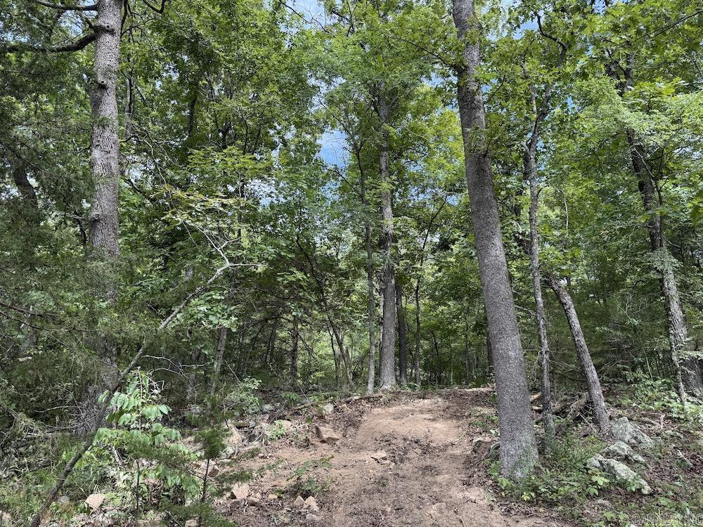 Tract 7 Terrapin Rd  Harrison, AR
