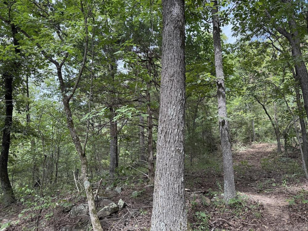 Tract 7 Terrapin Rd  Harrison, AR