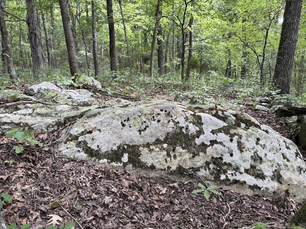 Tract 7 Terrapin Rd  Harrison, AR