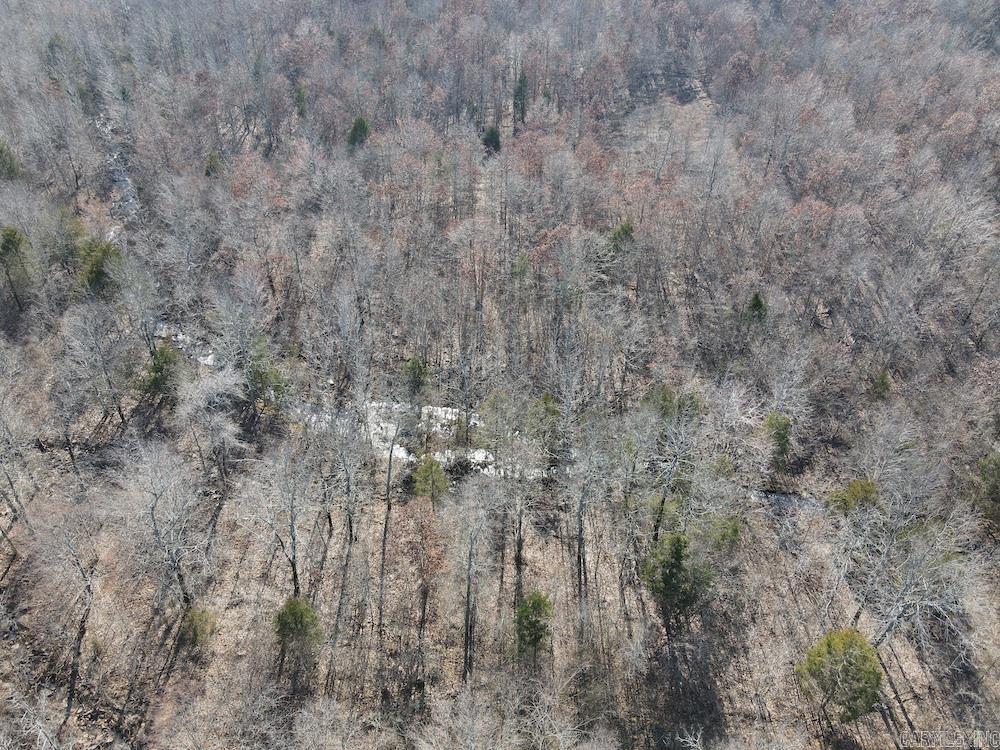 Tract DE Rocky Rd  Bradford, AR
