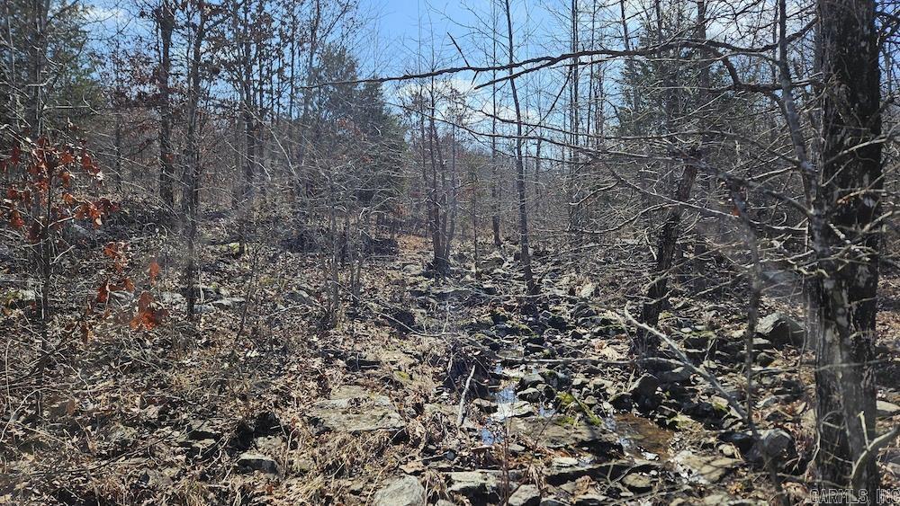 Tract DE Rocky Rd  Bradford, AR