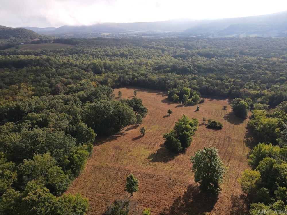  Lick Fork Road,  Marshall, AR