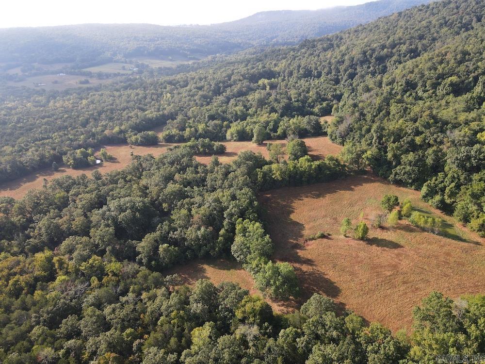  Lick Fork Road,  Marshall, AR