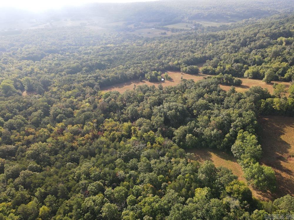  Lick Fork Road,  Marshall, AR