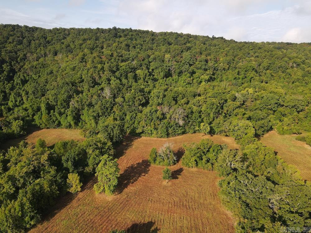  Lick Fork Road,  Marshall, AR