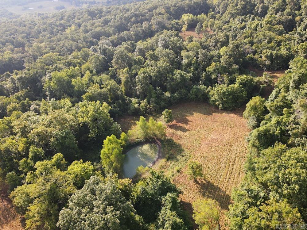  Lick Fork Road,  Marshall, AR