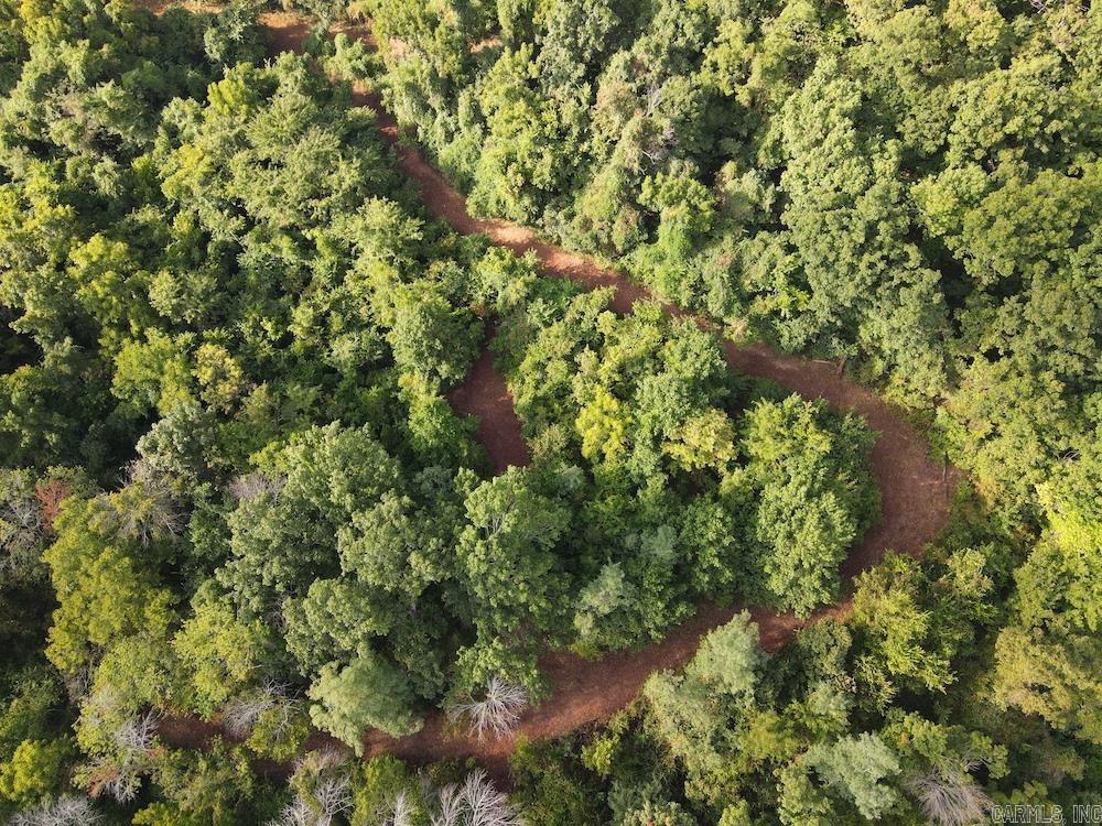  Lick Fork Road,  Marshall, AR