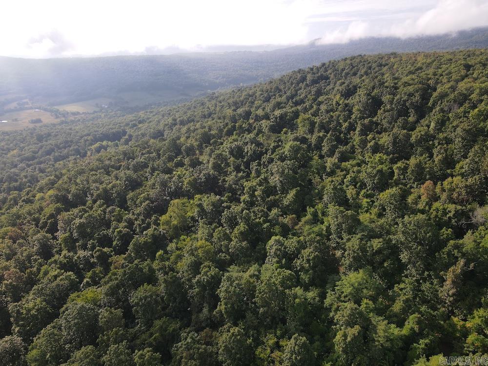 Lick Fork Road,  Marshall, AR
