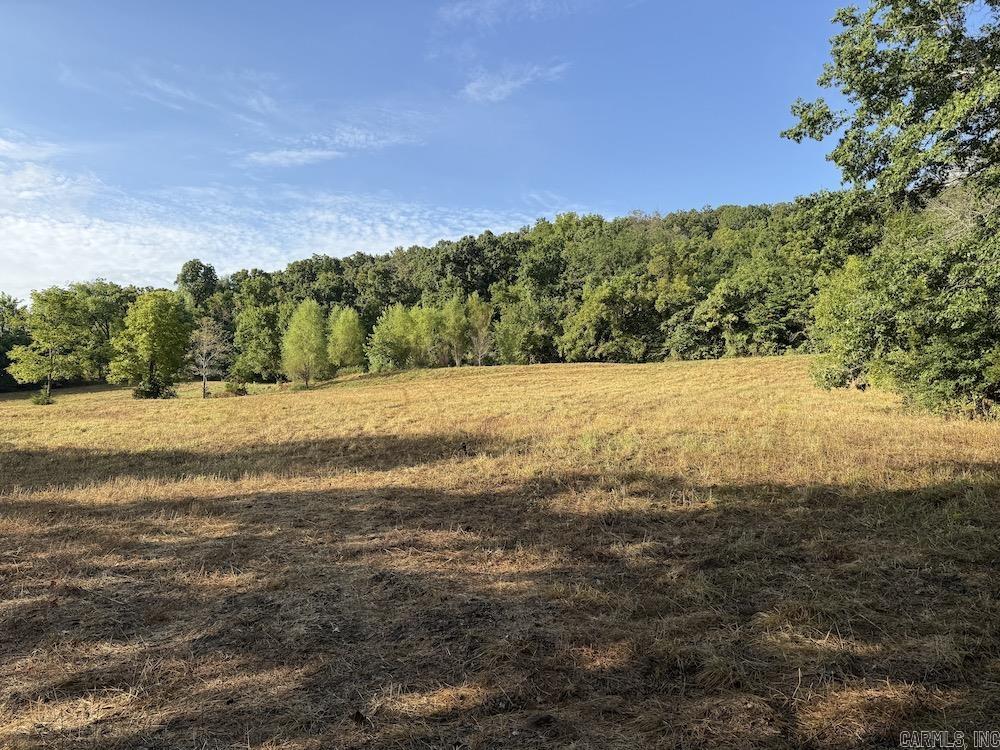  Lick Fork Road,  Marshall, AR