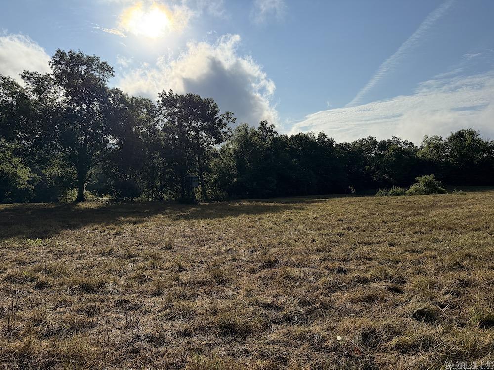  Lick Fork Road,  Marshall, AR