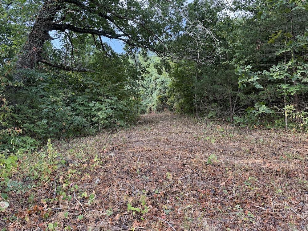  Lick Fork Road,  Marshall, AR