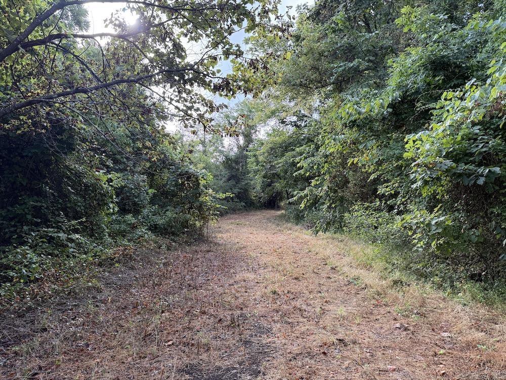  Lick Fork Road,  Marshall, AR
