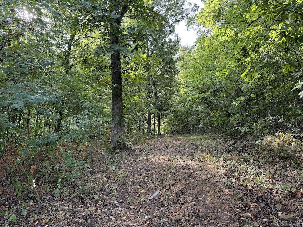  Lick Fork Road,  Marshall, AR