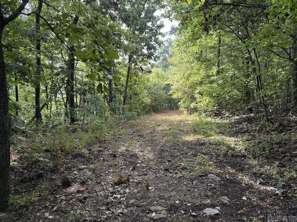  Lick Fork Road,  Marshall, AR