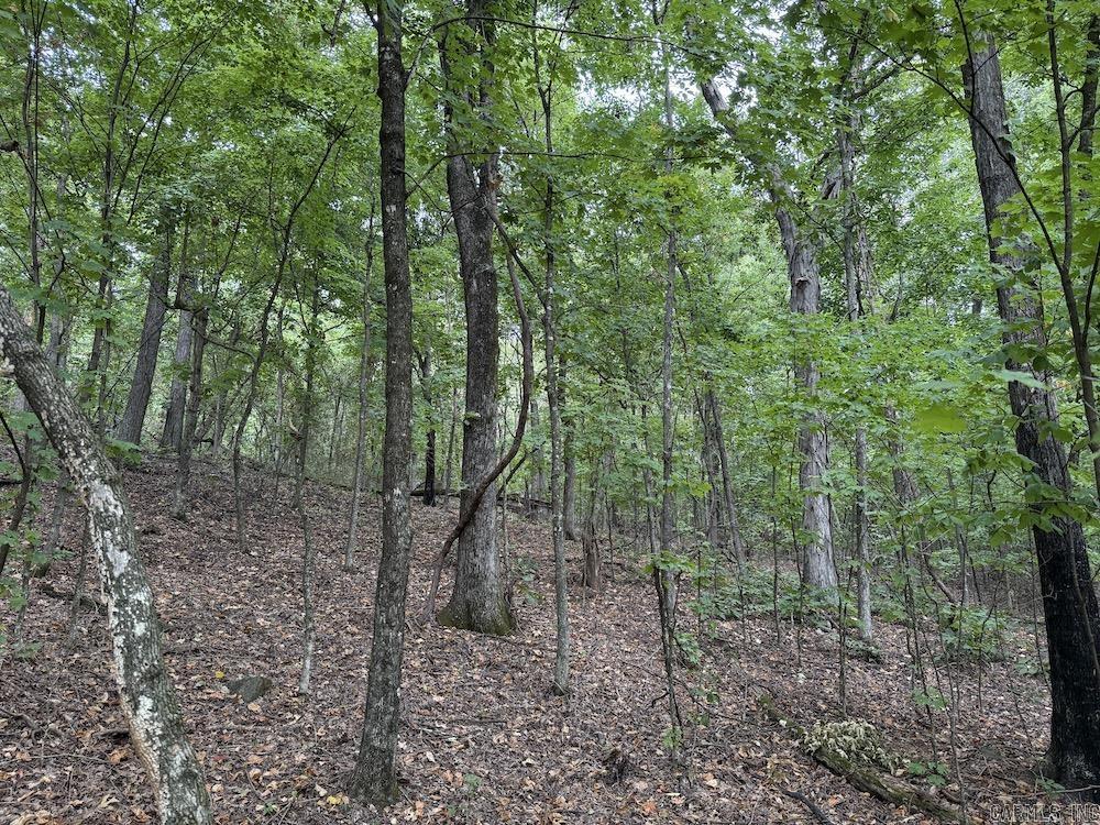  Lick Fork Road,  Marshall, AR