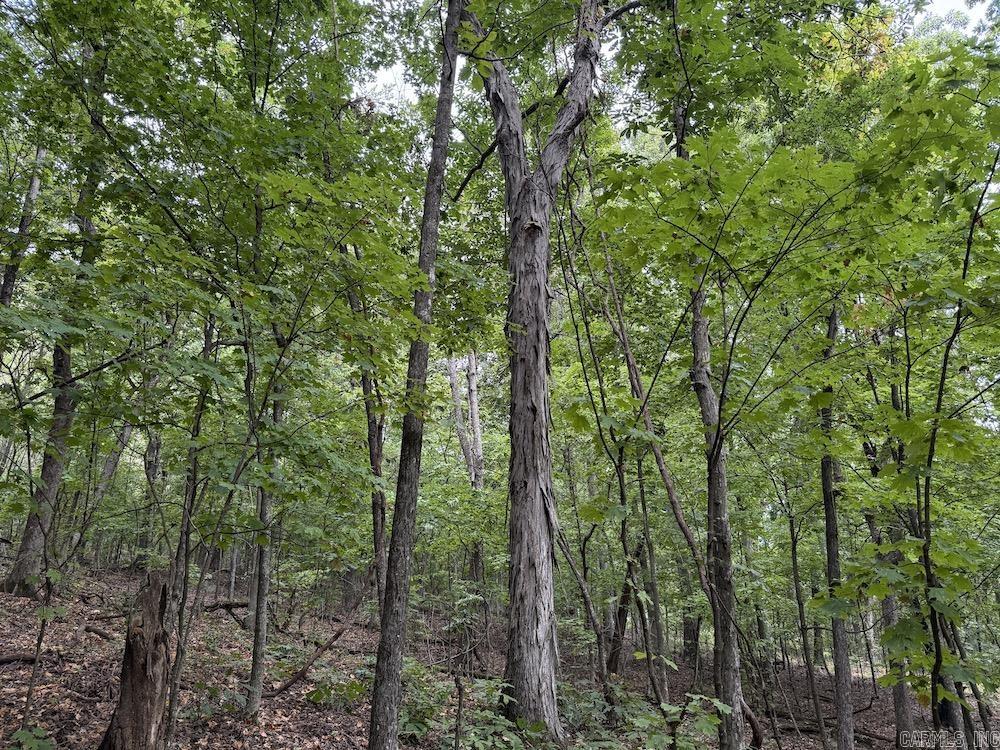  Lick Fork Road,  Marshall, AR