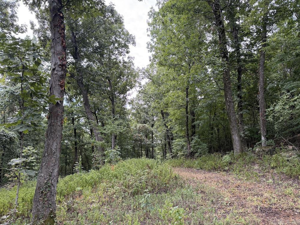  Lick Fork Road,  Marshall, AR