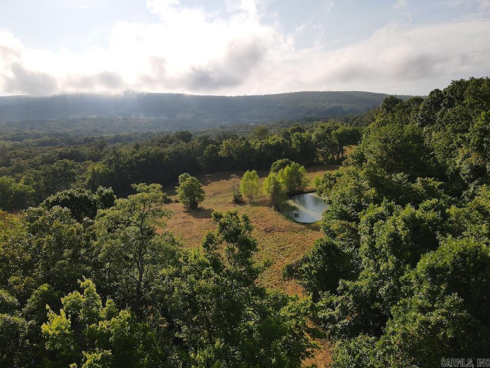 Lick Fork Road,  Marshall, AR