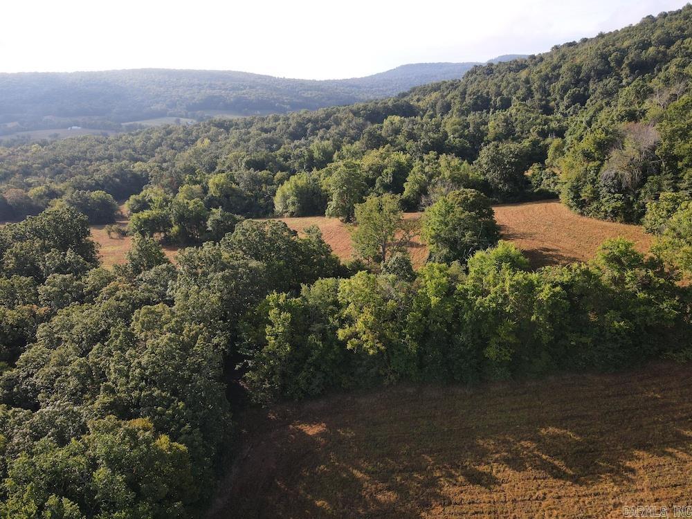  Lick Fork Road,  Marshall, AR