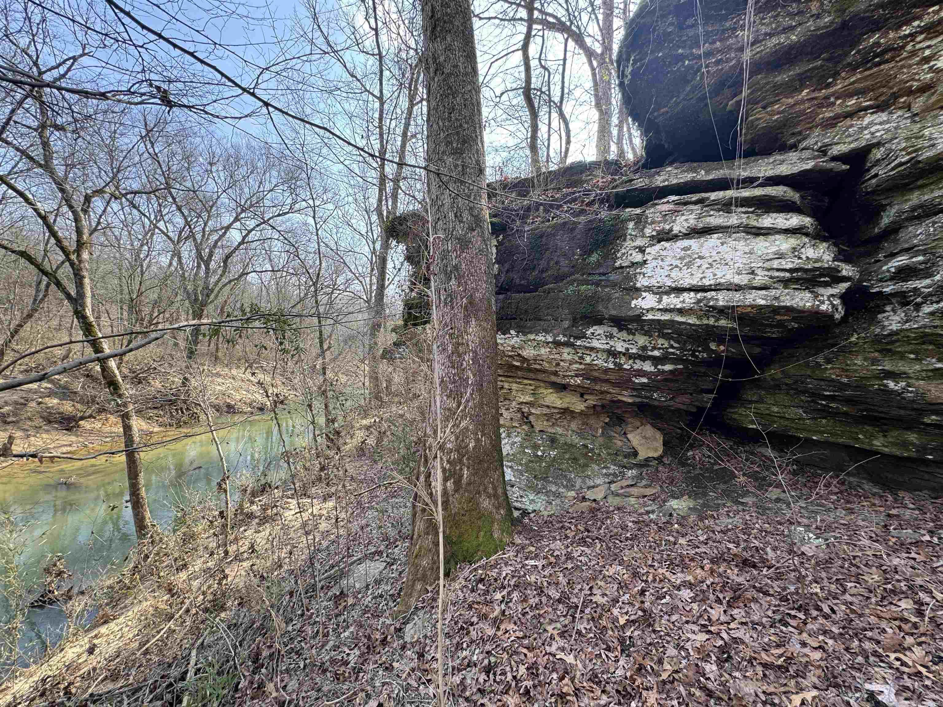 3306 Black Hill Road  Bee Branch, AR