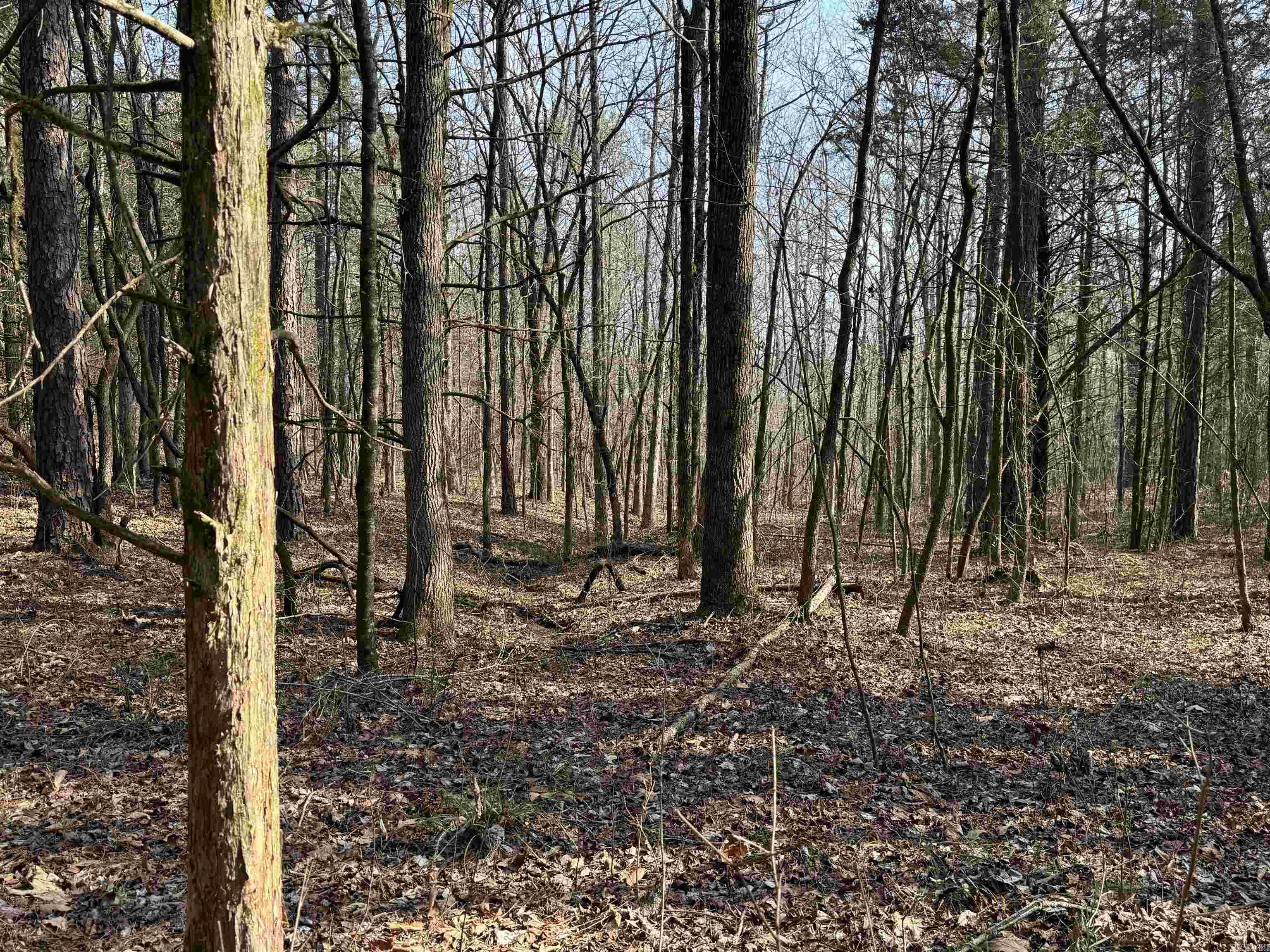 3306 Black Hill Road  Bee Branch, AR