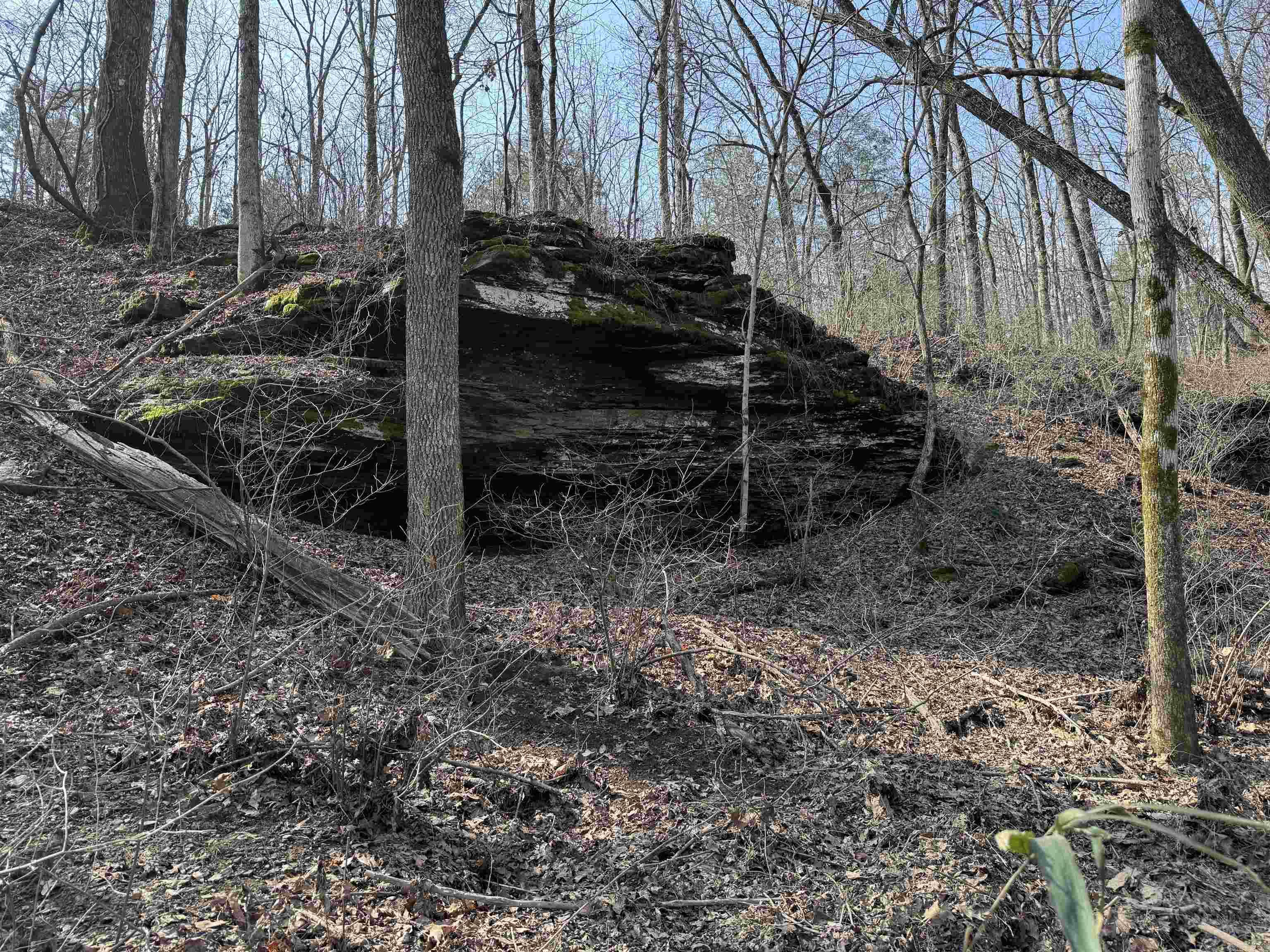 3306 Black Hill Road  Bee Branch, AR
