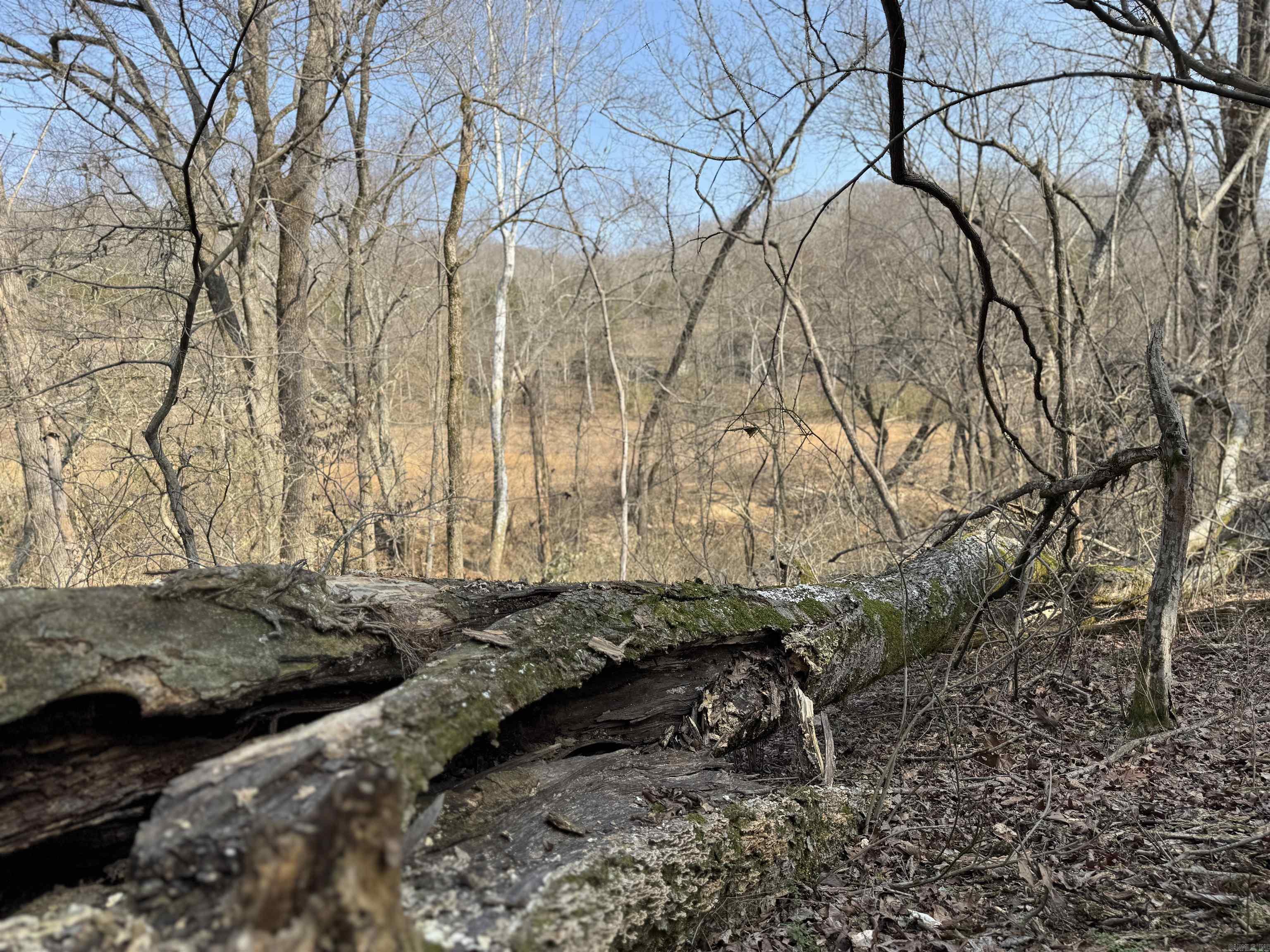 3306 Black Hill Road  Bee Branch, AR