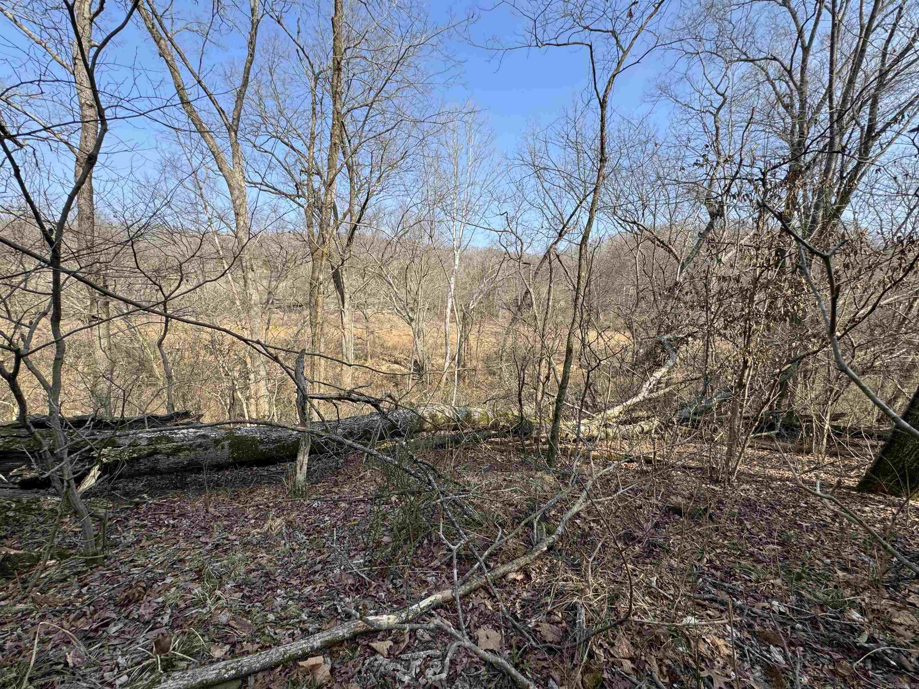 3306 Black Hill Road  Bee Branch, AR