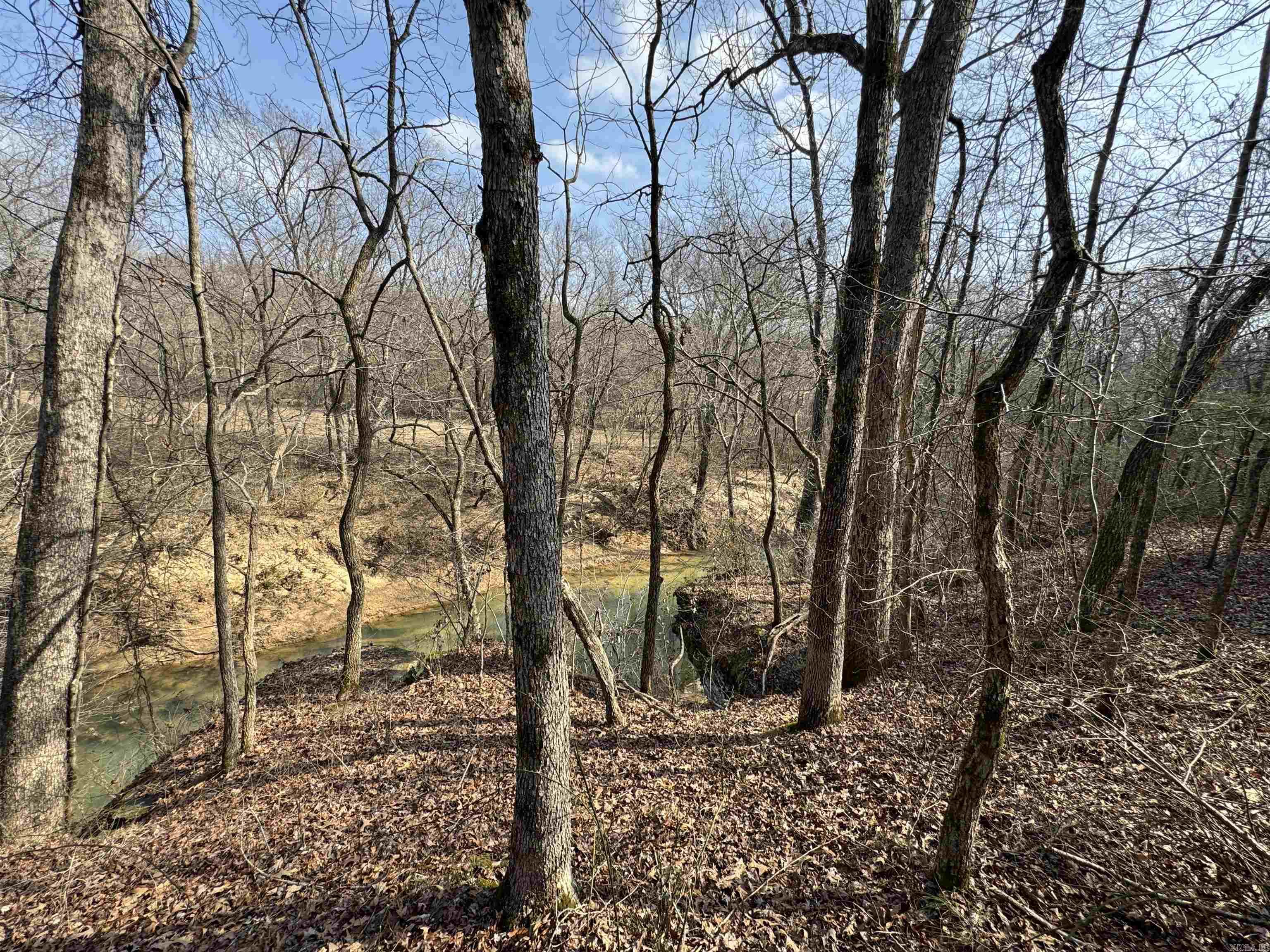 3306 Black Hill Road  Bee Branch, AR