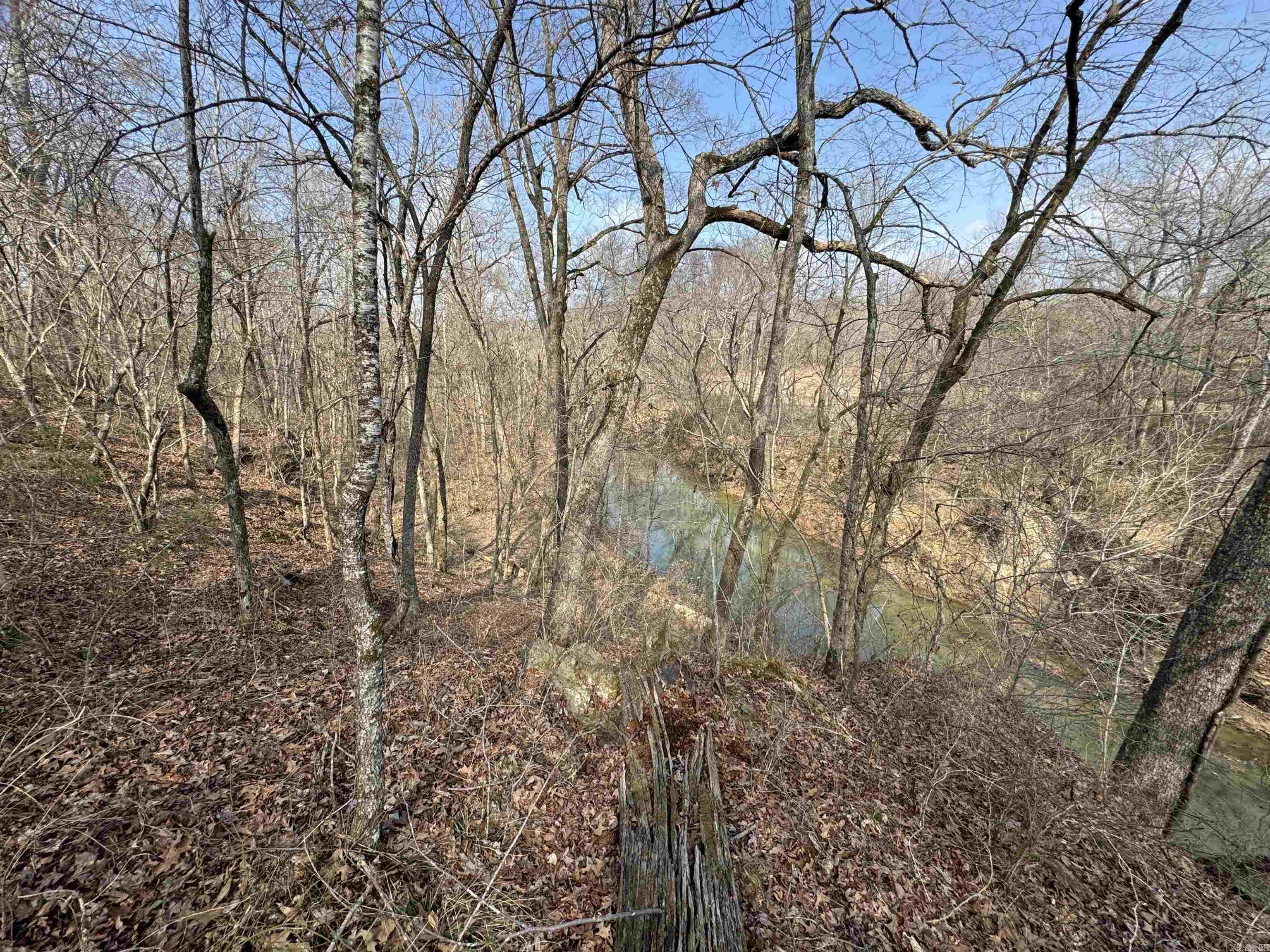 3306 Black Hill Road  Bee Branch, AR