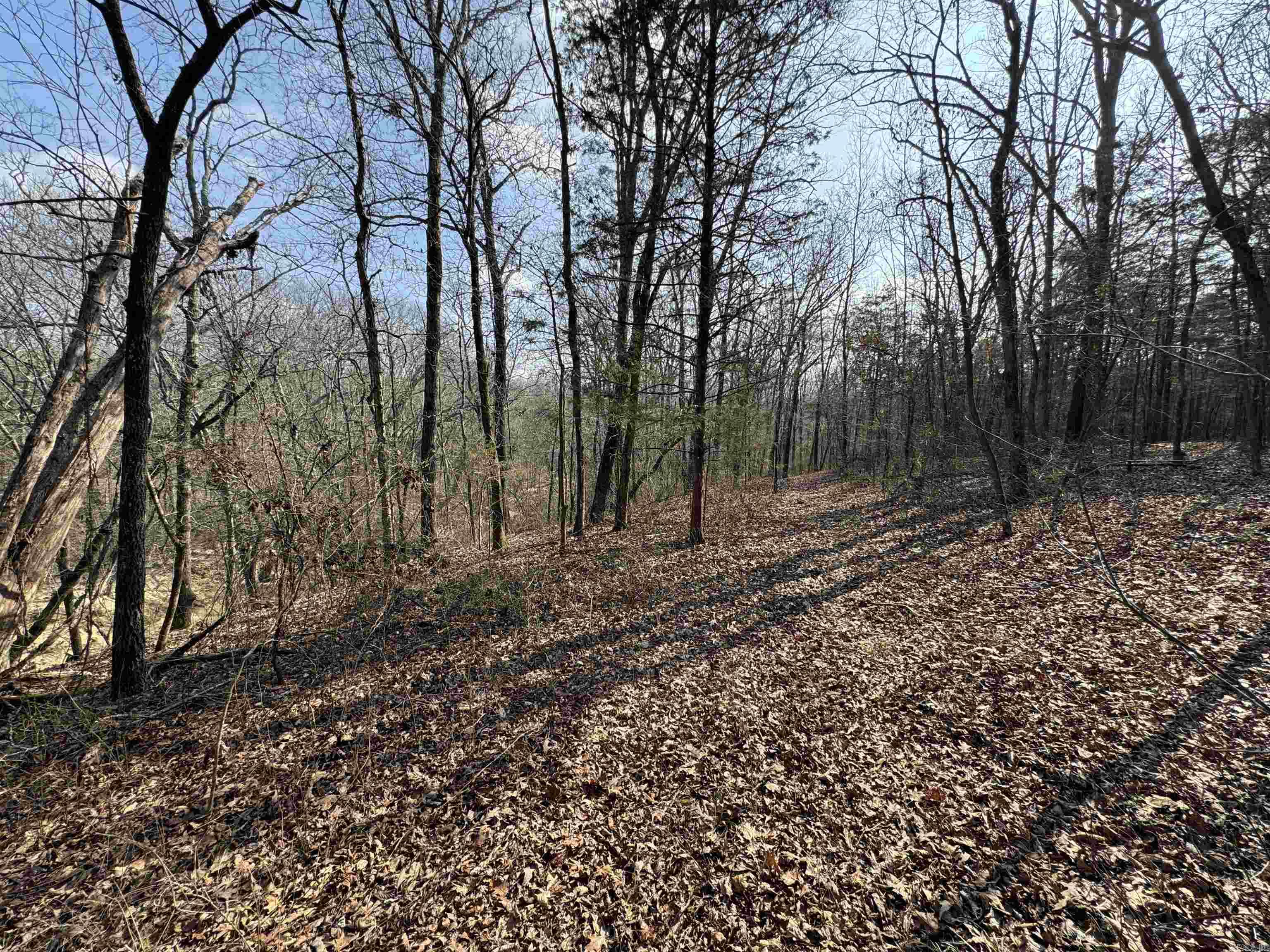 3306 Black Hill Road  Bee Branch, AR