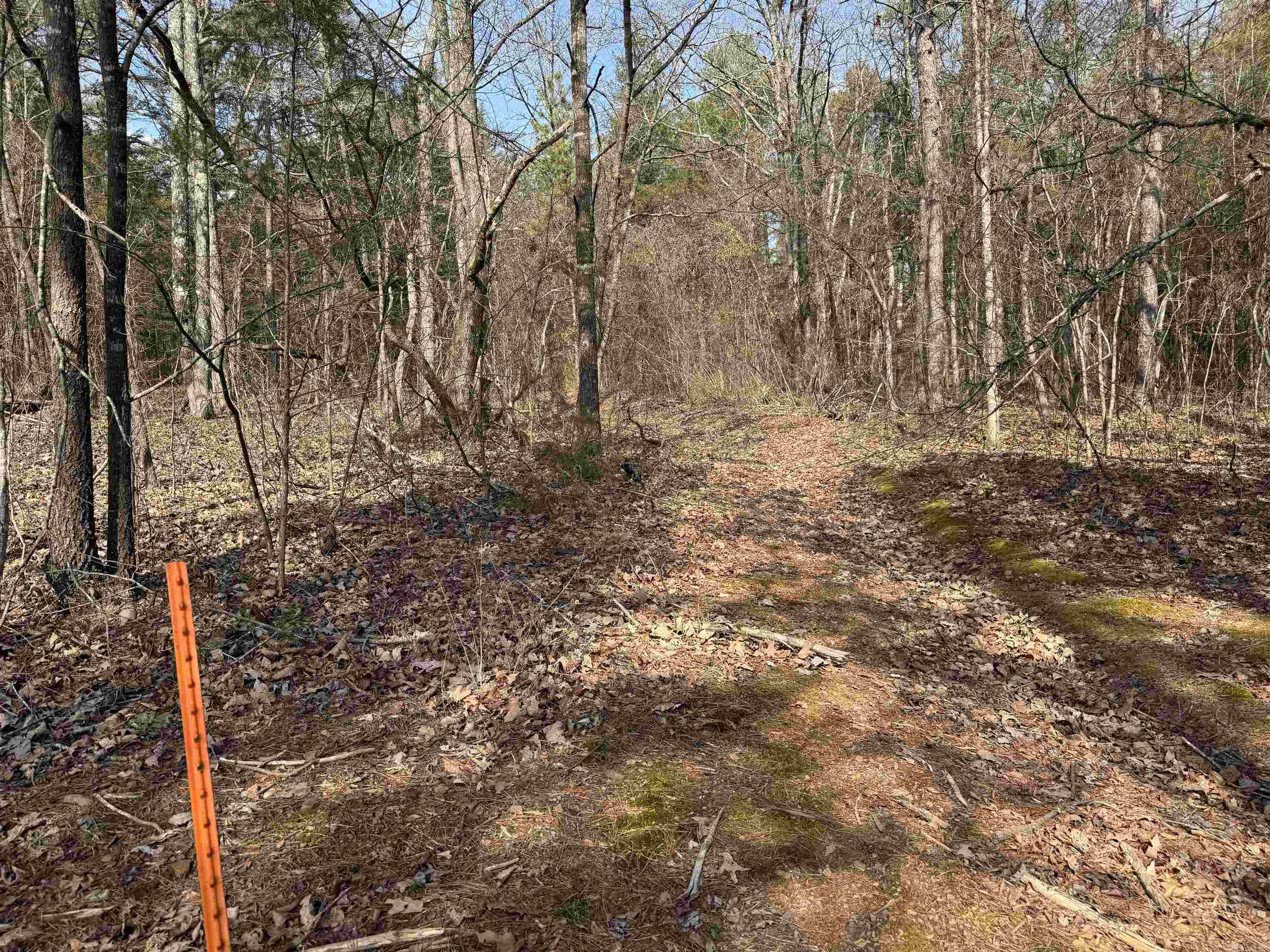 3306 Black Hill Road  Bee Branch, AR