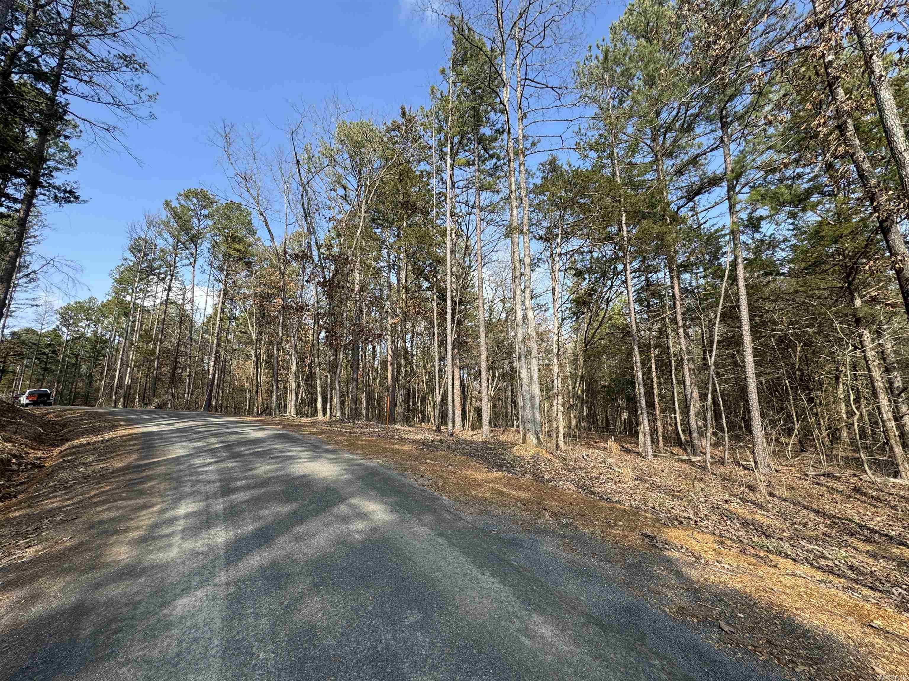 3306 Black Hill Road  Bee Branch, AR